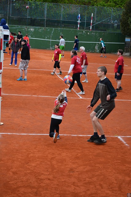 img00191.jpg