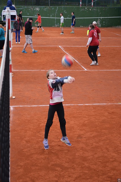 img00196.jpg