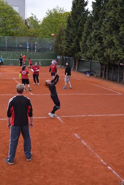 img00215.jpg