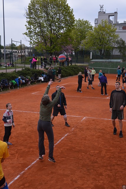 img00216.jpg