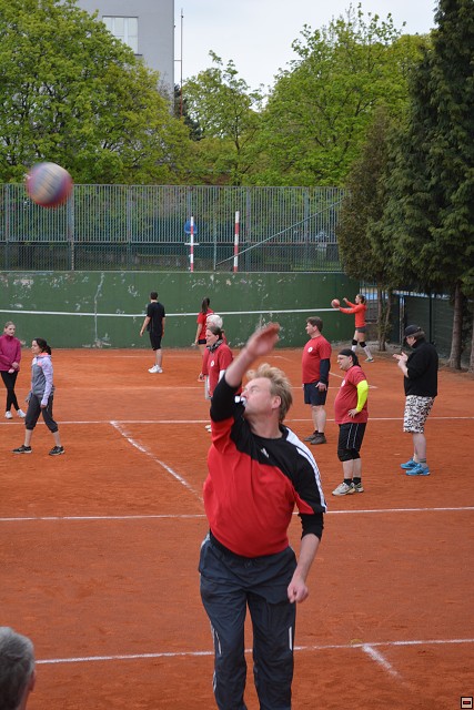 img00220.jpg