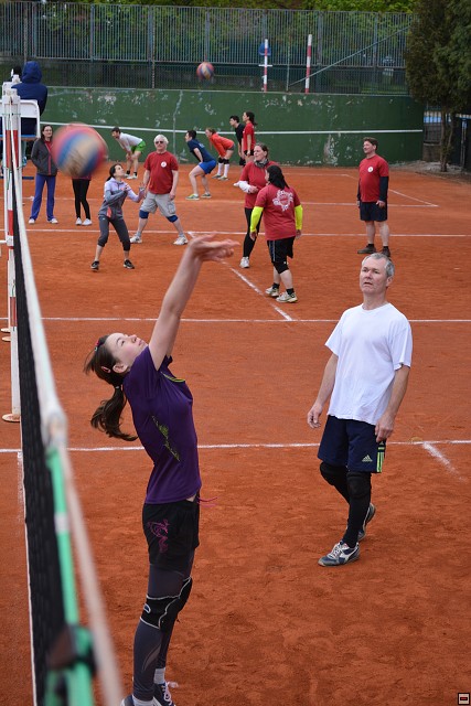 img00223.jpg
