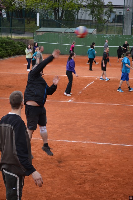img00226.jpg