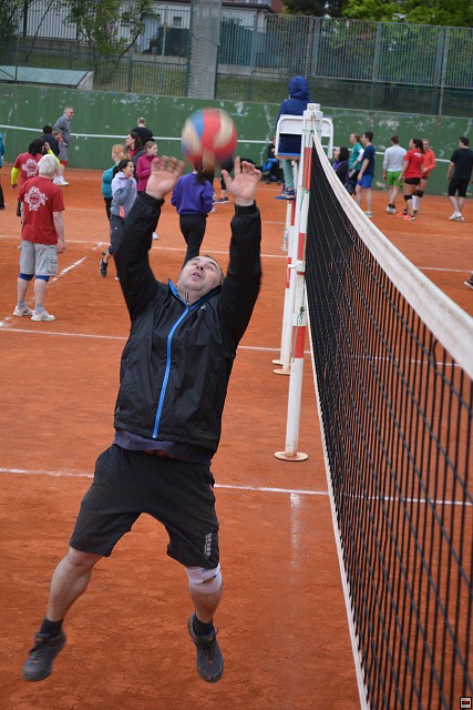 img00231.jpg