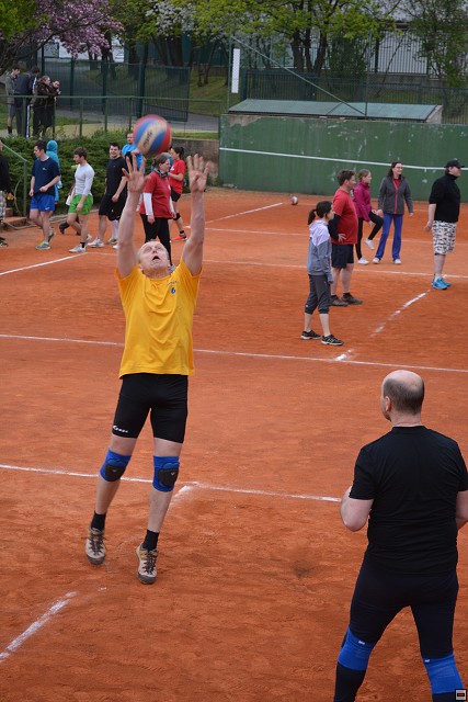 img00237.jpg