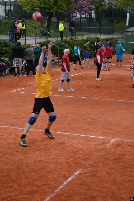img00238.jpg