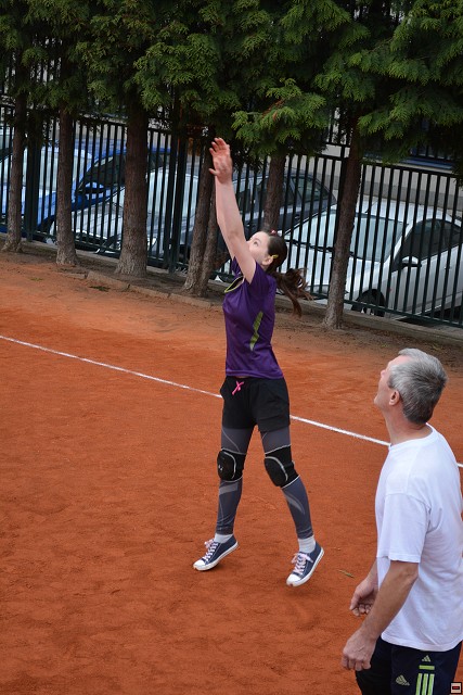 img00240.jpg