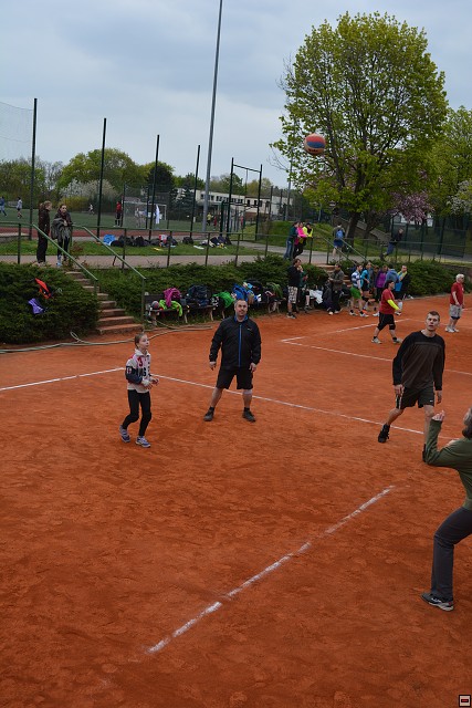 img00244.jpg