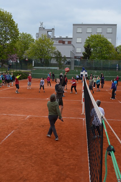 img00245.jpg