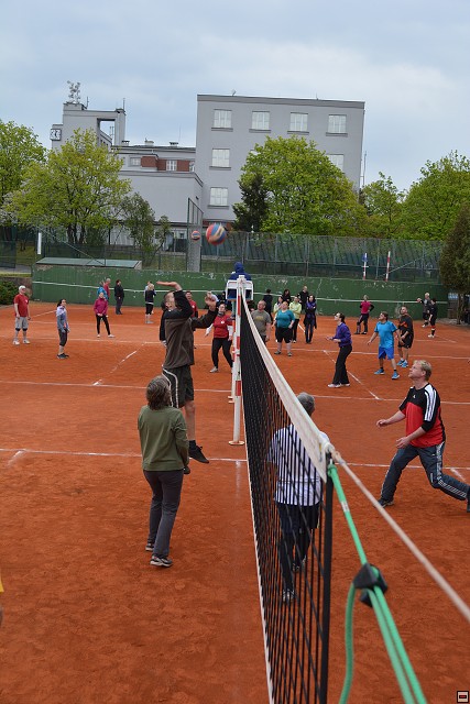 img00246.jpg