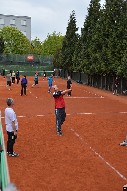 img00247.jpg