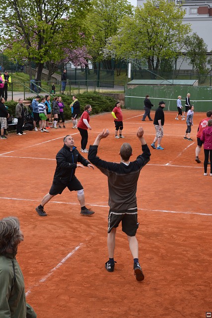 img00252.jpg