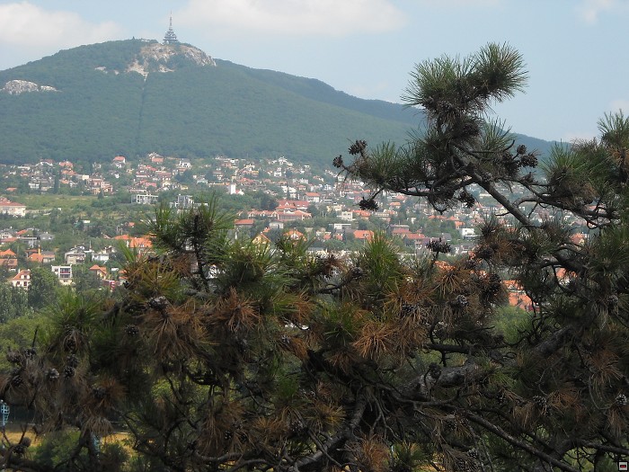 img00008.jpg