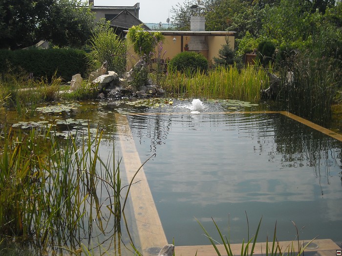 img00013.jpg