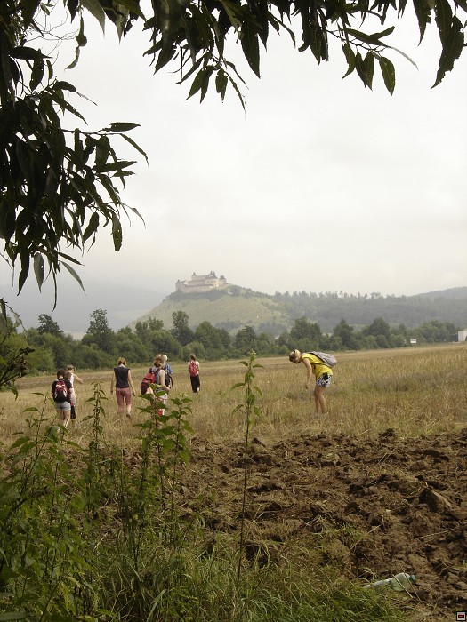 img00018.jpg