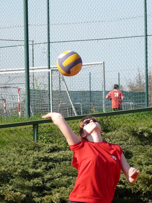 img00343.jpg