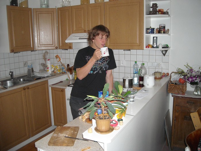 img00006.jpg