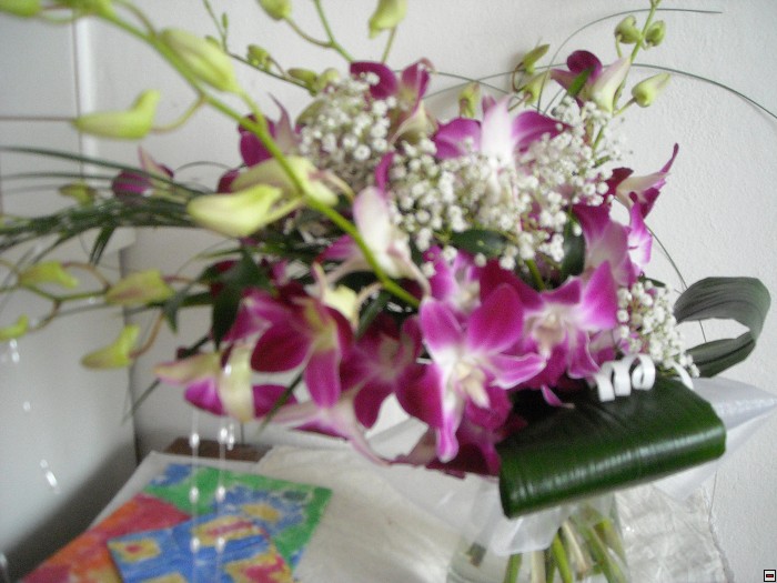img00011.jpg