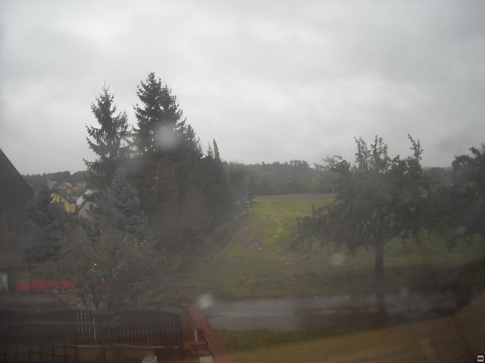 img00037.jpg