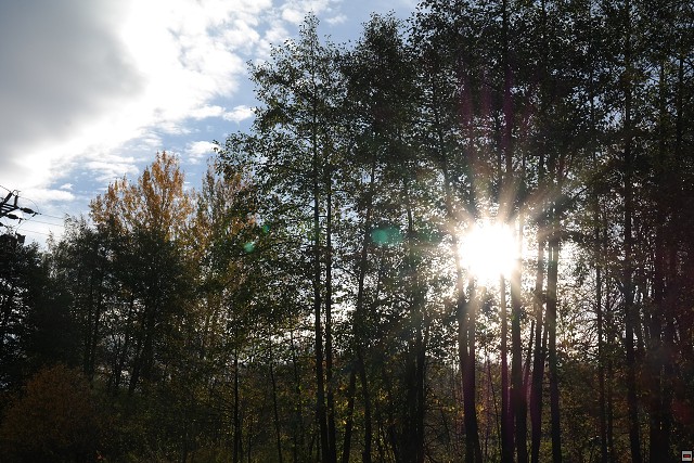 img00012.jpg