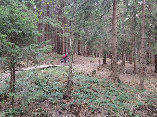 img00040.jpg