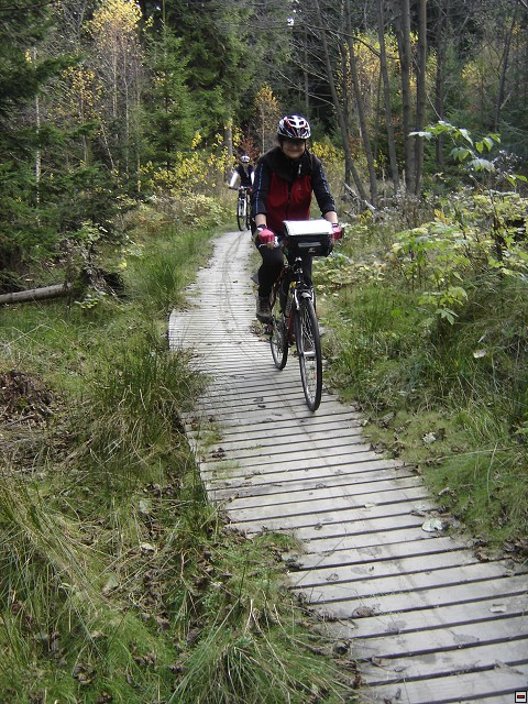 img00043.jpg