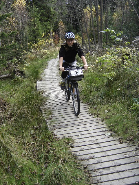 img00045.jpg