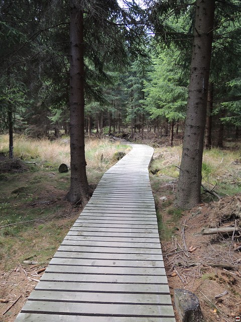 img00051.jpg
