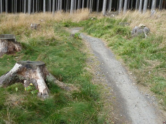 img00053.jpg