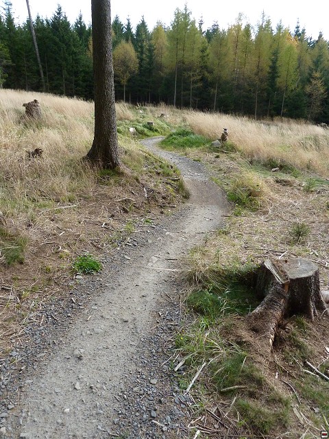 img00054.jpg