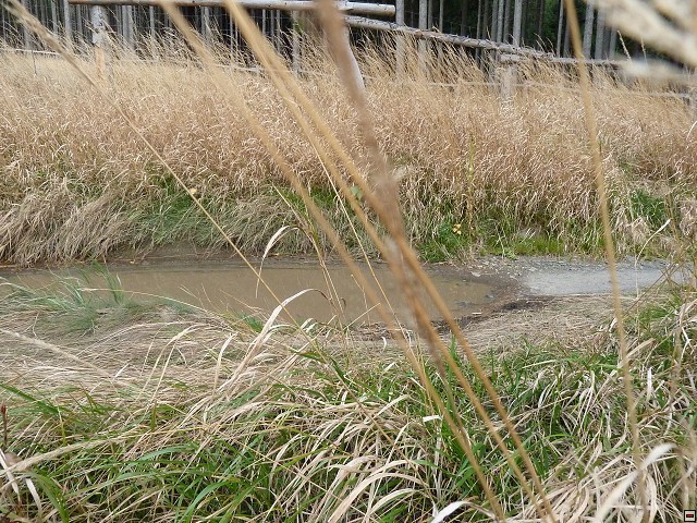 img00055.jpg