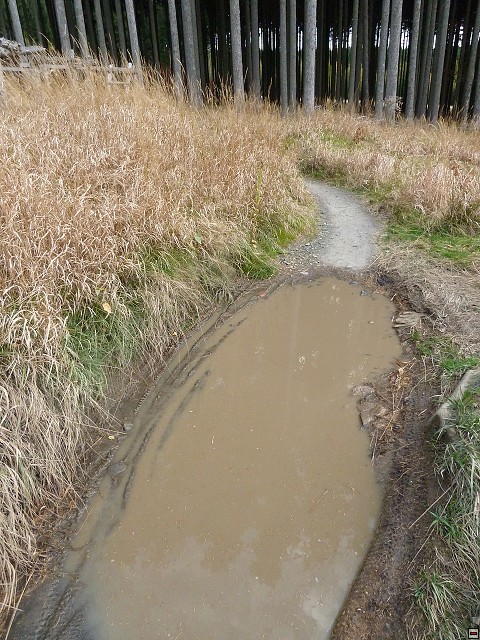img00056.jpg