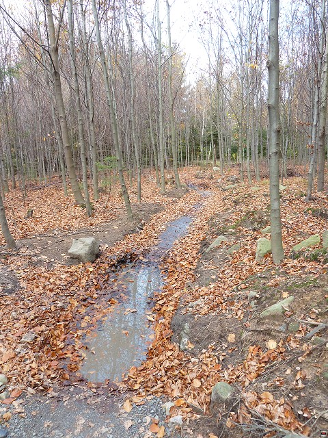 img00057.jpg