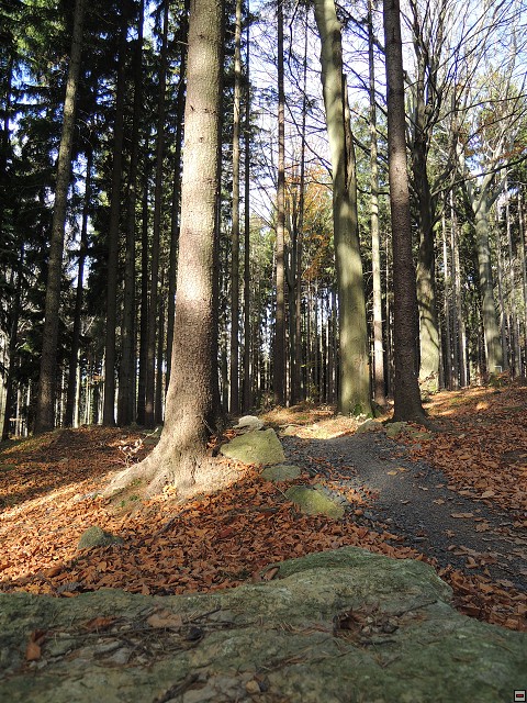 img00060.jpg