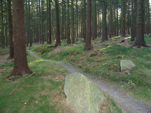 img00064.jpg