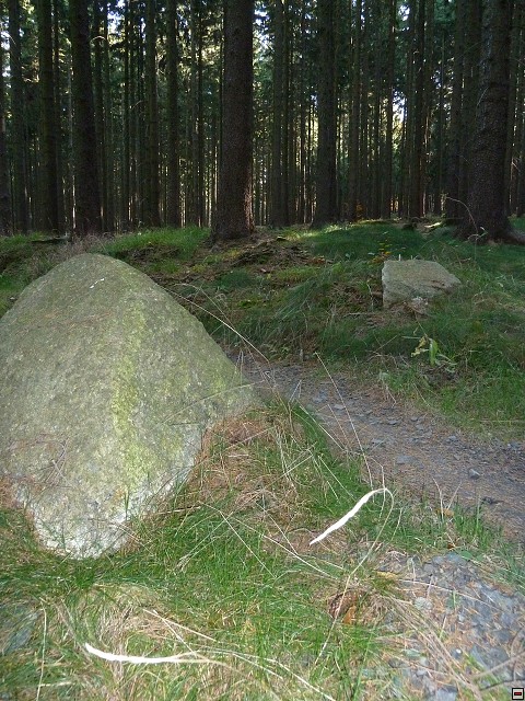 img00065.jpg