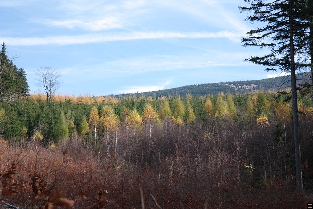 img00074.jpg