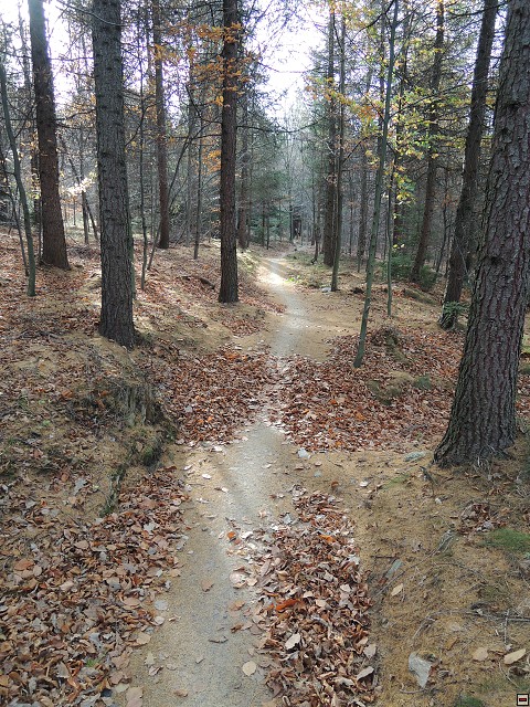 img00084.jpg