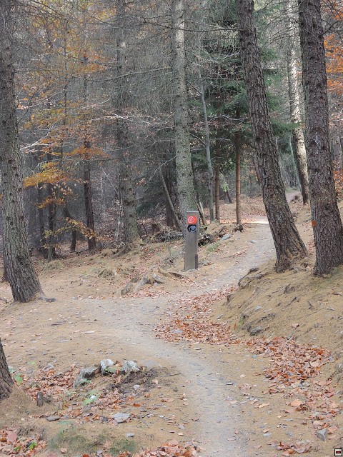 img00087.jpg