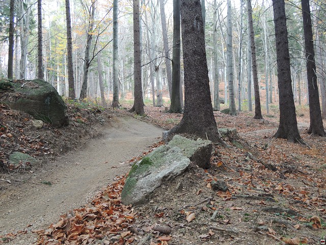img00088.jpg