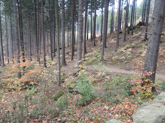 img00089.jpg