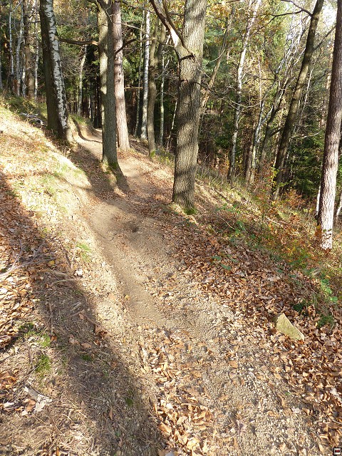 img00090.jpg