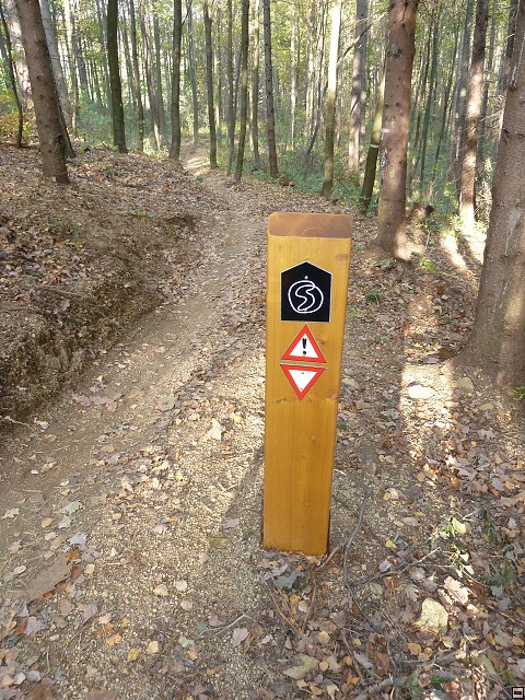 img00091.jpg