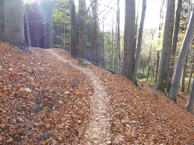 img00092.jpg