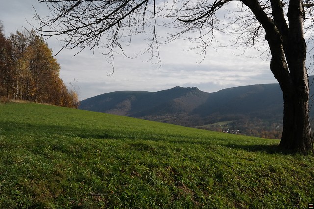 img00105.jpg
