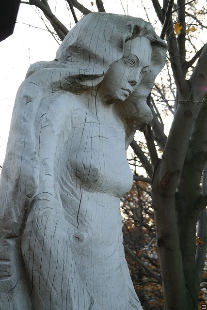 img00108.jpg