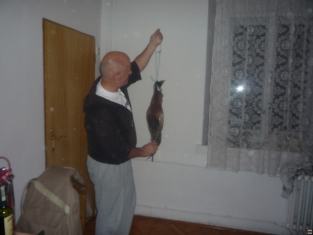 img00151.jpg