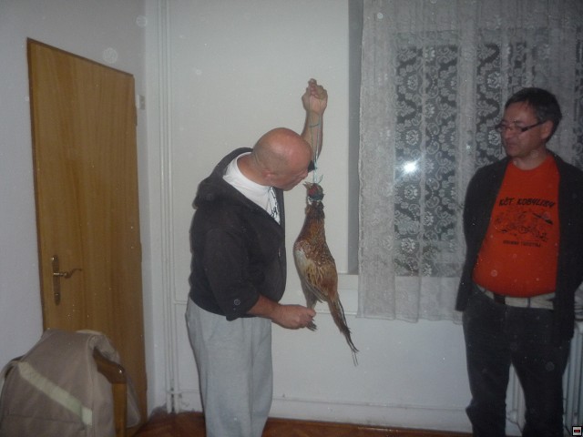 img00152.jpg