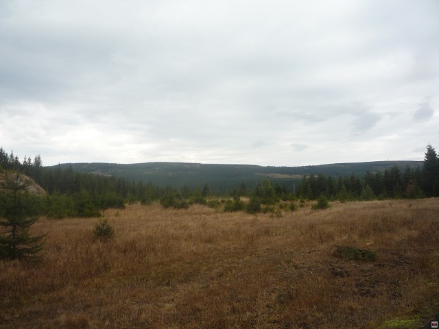 img00208.jpg