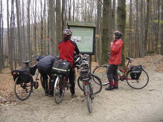 img00217.jpg